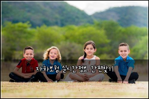 자차보험 실시간정보  간편찾기