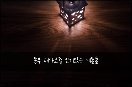동부 태아보험 인기있는  메쿨풀