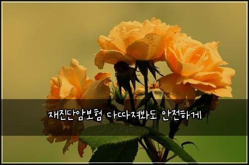 재진단암보험 다따져봐도  안전하게
