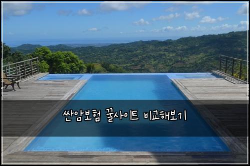 싼암보험 꿀사이트  비교해보기