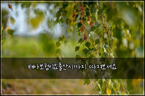 태아보험이요출산시까지 따져보세요