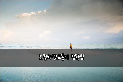 ๋ณดํ์ฐจ๋๊ตํต๋น ์ ํํ