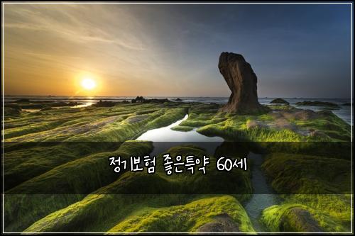정기보험 좋은특약  60세