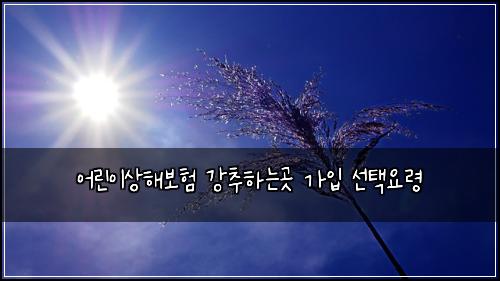 어린이상해보험 강추하는곳  가입 선택요령