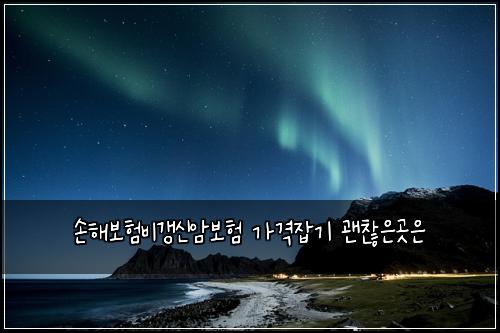 ์ํด๋ณดํ๋น๊ฐฑ์ ์๋ณดํ ๊ฐ๊ฒฉ์ก๊ธฐ ๊ด์ฐฎ์๊ณณ์