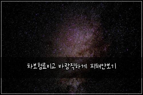 차보험료비교 바람직하게 피해안보기