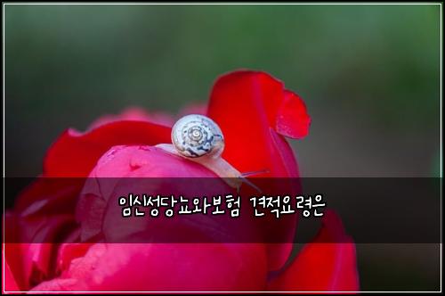 임신성당뇨와보험 견적요령은 
