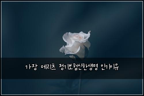 가장 메리츠 정기보험신한생명 인기이유