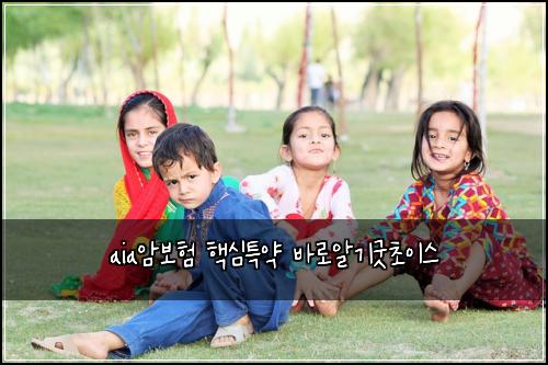 aia암보험 핵심특약  바로알기굿초이스
