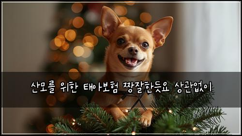 산모를 위한 태아보험 짱잘한듯요  상관없이