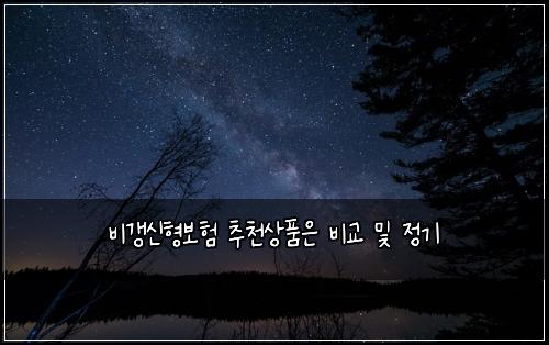 비갱신형보험 추천상품은  비교 및 정기