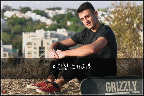 ๋ฏธ์์ฑ ์ค์ผ์น๋ถ