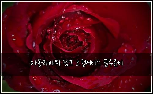 자동차바퀴 펑크 보험서비스 필수준비