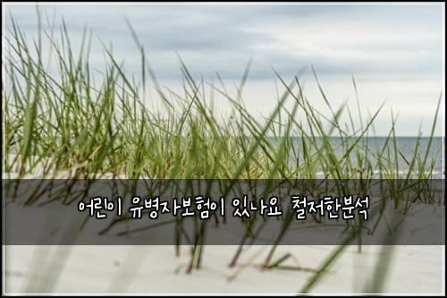 어린이 유병자보험이 있나요 철저한분석