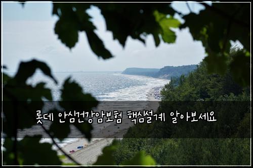 롯데 안심건강암보험 핵심설계  알아보세요