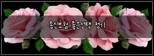 종신보험 좋은선택  정기