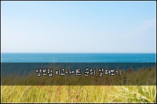 암보험 비교사이트  순위 살펴보기
