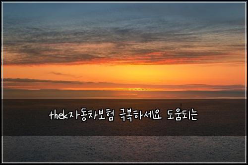 thek์๋์ฐจ๋ณดํ ๊ทน๋ณตํ์ธ์ ๋์๋๋