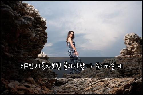 티구안자동차보험 골라야할까  준비하실때