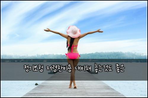์ ๊ธฐ๋ณดํ ์ ๋ ดํ๋น์ฉ ๋๋นํด ๋๋๊ฒ๋ ์ข์