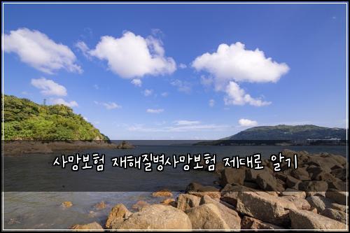 사망보험 재해질병사망보험 제대로 알기