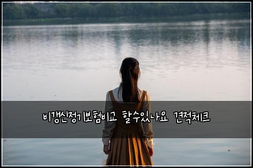 비갱신정기보험비교 할수있나요 견적체크
