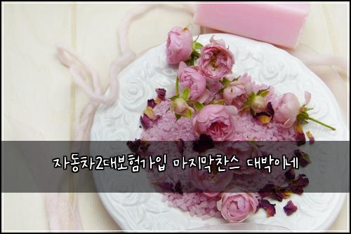 자동차2대보험가입 마지막찬스 대박이네