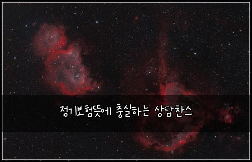 정기보험뜻에 충실하는 상담찬스