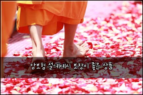 ์๋ณดํ ์ค๊ณ์์ ๋ณด์ฅ์ด ์ข์ ์ํ