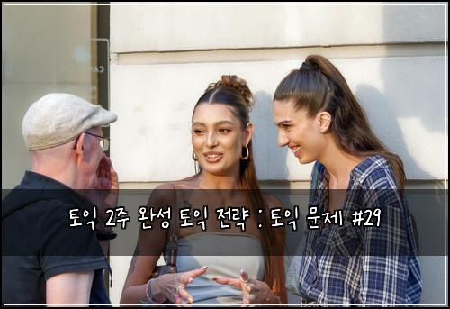 토익 2주 완성 토익 전략 : 토익 문제 #29
