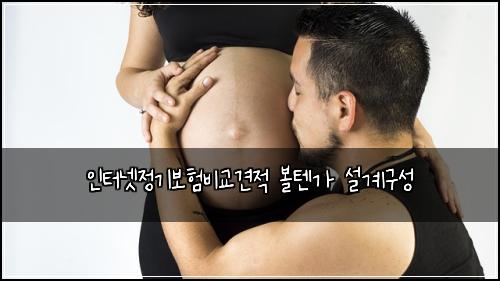 인터넷정기보험비교견적 볼텐가 설계구성