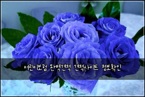 ์ด๋ฆฐ์ด๋ณดํ ์๋ฒฝ๊ฒฌ์ ๊ฒฌ์ ์ฌ์ดํธ ์ ๋ณดํ์ธ