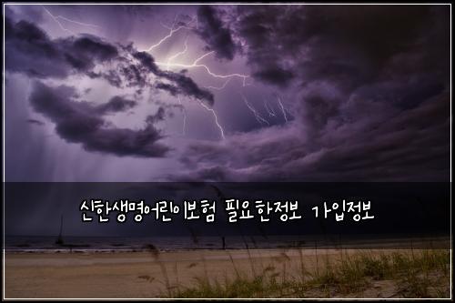 신한생명어린이보험 필요한정보  가입정보
