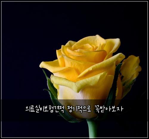 의료실비보험견적 정기적으로 꼭받아보자