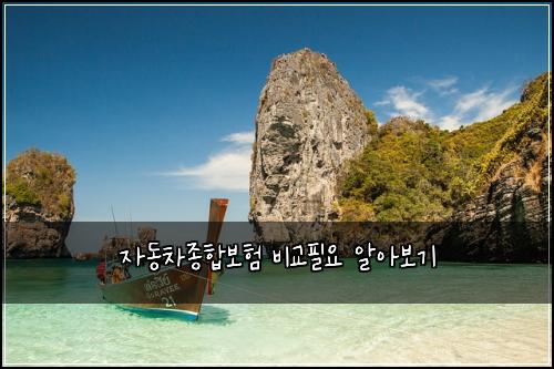 자동차종합보험 비교필요  알아보기