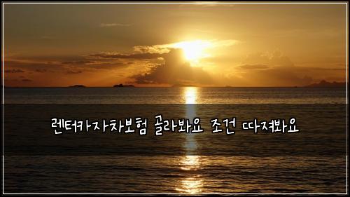 렌터카자차보험 골라봐요  조건 따져봐요