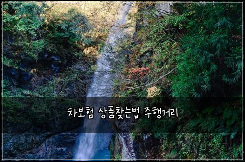 ์ฐจ๋ณดํ ์ํ์ฐพ๋๋ฒ ์ฃผํ๊ฑฐ๋ฆฌ
