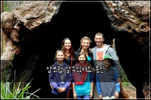 암보험 알수있어요  종신