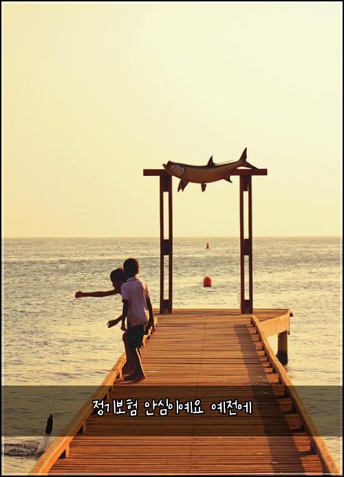 정기보험 안심이예요  예전에