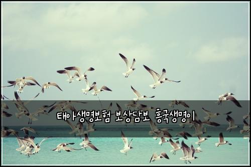 태아생명보험 보상담보  흥국생명이