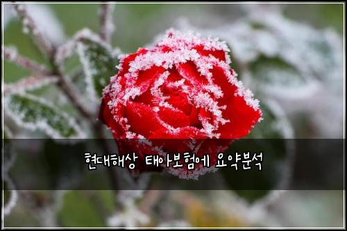 현대해상 태아보험에 요약분석