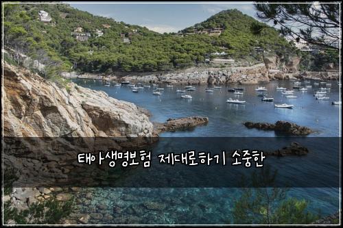 ํ์์๋ช
๋ณดํ ์ ๋๋กํ๊ธฐ ์์คํ