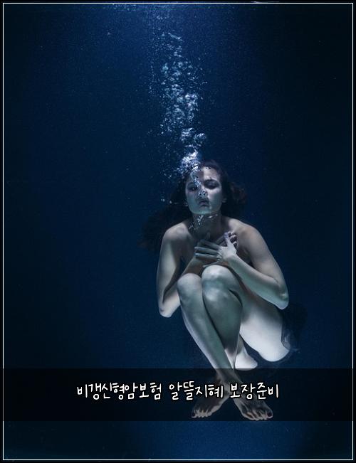 λΉκ°±μ νμ보ν μλ°μ§ν 보μ₯μ€λΉ