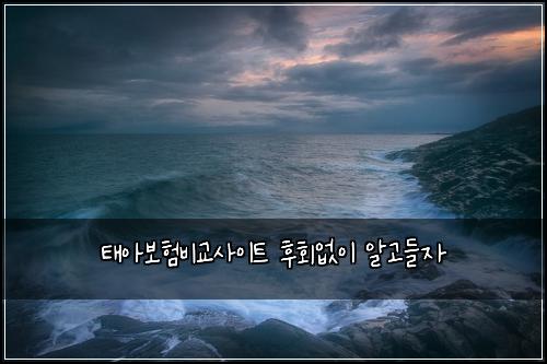 태아보험비교사이트 후회없이 알고들자
