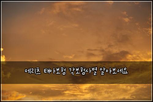 메리츠 태아보험 각보험사별  알아보세요