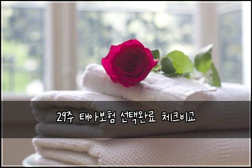 29์ฃผ ํ์๋ณดํ ์ ํ์๋ฃ ์ฒดํฌ๋น๊ต