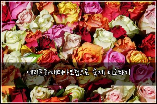 메리츠화재태아보험으로 숙제 비교하기
