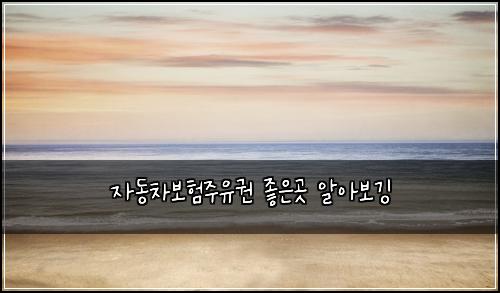 ์๋์ฐจ๋ณดํ์ฃผ์ ๊ถ ์ข์๊ณณ ์์๋ณด๊น