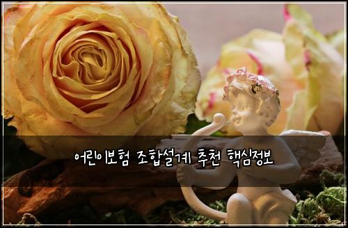 어린이보험 조합설계  추천 핵심정보