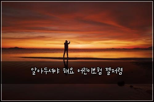 알아두셔야 해요 어린이보험 젤저렴 
